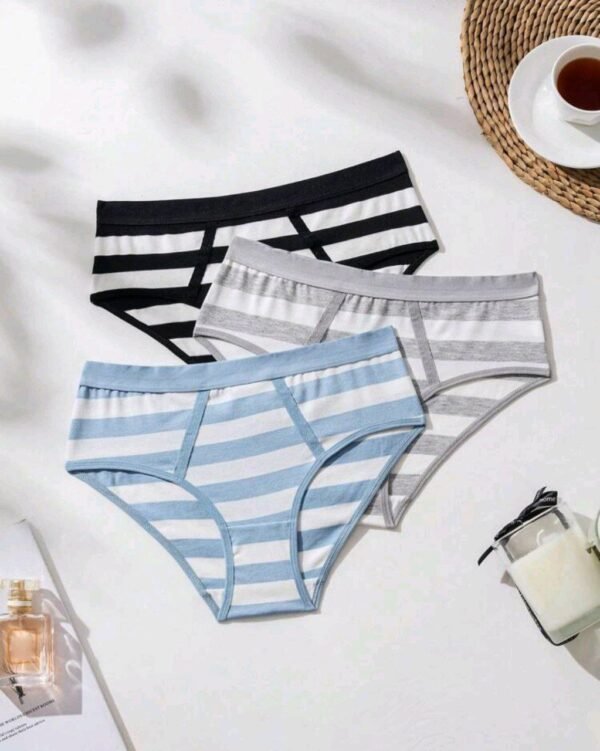 Eraneu Three Stripes Printed Briefs