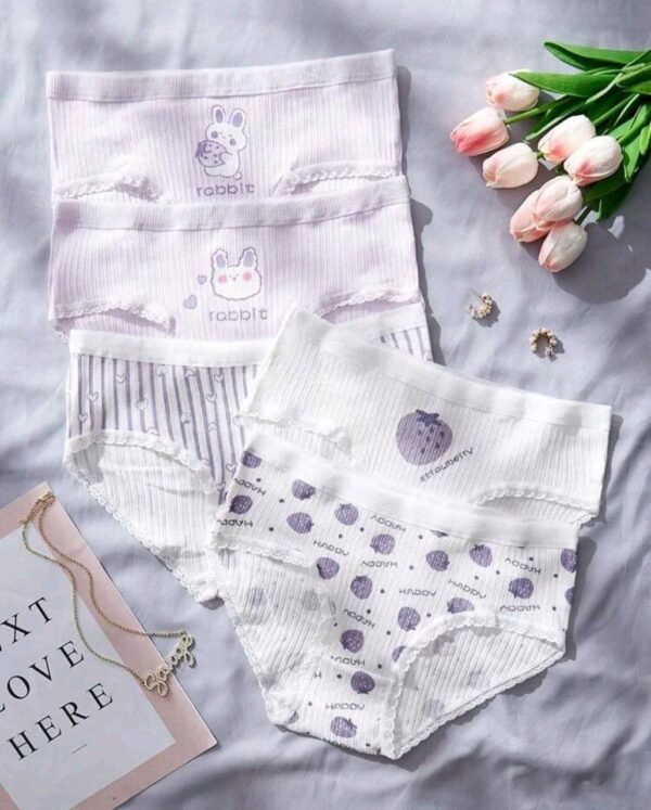 Eraneu 5pack Cartoon Graphic Lace Trim Panty