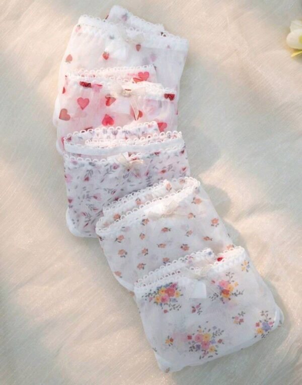 Eraneu 5packs Floral & Heart Print Panties Lingerie - Image 3