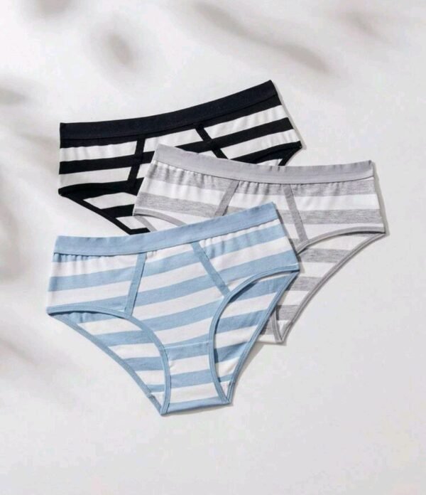 Eraneu Three Stripes Printed Briefs - Image 3