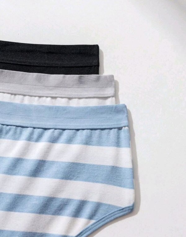 Eraneu Three Stripes Printed Briefs - Image 4